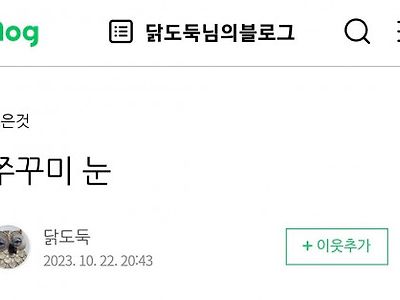 광기의 현대미술