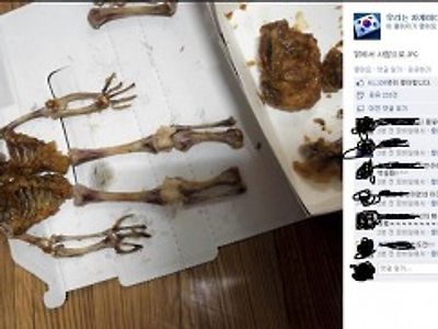 법의학으로 본 치킨