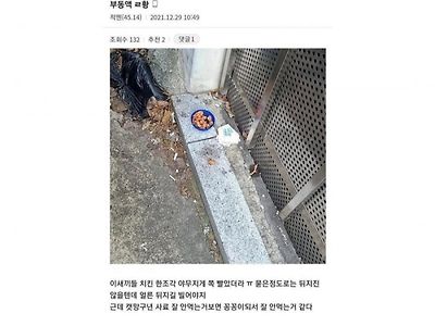 야갤러들이 저지른 일 (혐주의).jpg