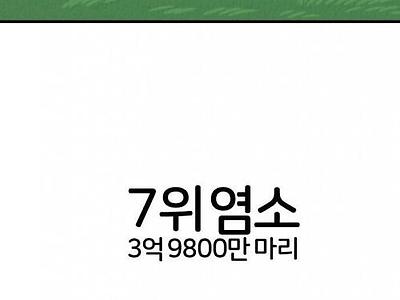 전세계 동물 도축순위 탑10