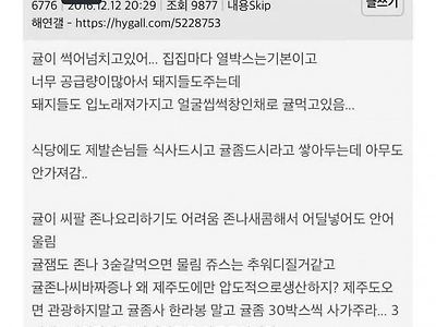 제주도는 여자 물 돌 많다는데