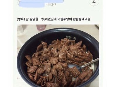 초코첵스 먹었다