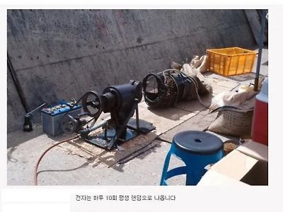 방구소리 커지고 100억받기