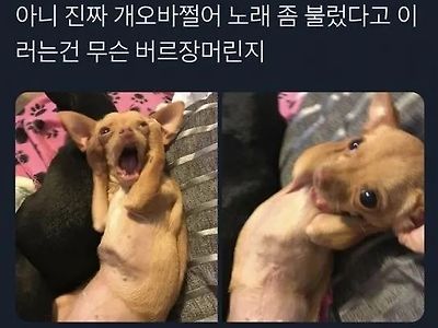 나는야 퉁퉁이