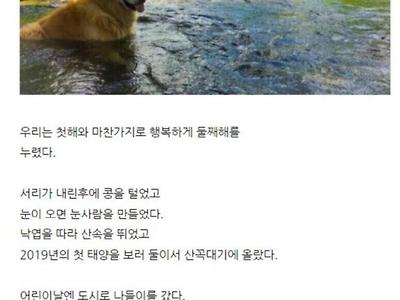 6년 전 멍멍이를 데리고 귀농한 디시인.jpg