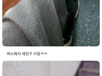 오늘 버스에서 꿀벌친구 사귐