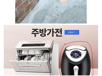 극한의 가능충들 모음