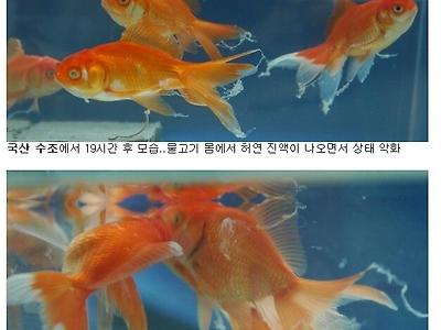 하아.. 이런걸로 집지으면.. 죽으라는 거지