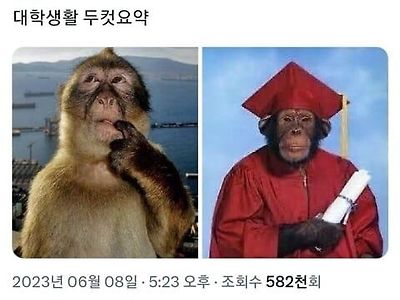 대학생활 두컷 요약