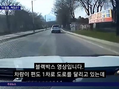 목줄 안한 개와 교통사고