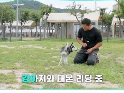 강형욱도 결국 조작방송 했었던거였구나...