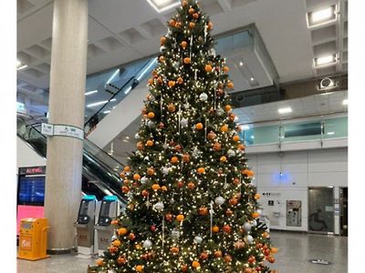 제주공항 크리스마스 근황