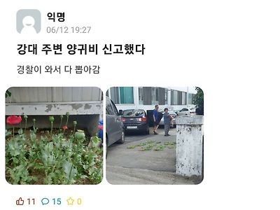 학교에 경찰와서 양귀비 뽑아감