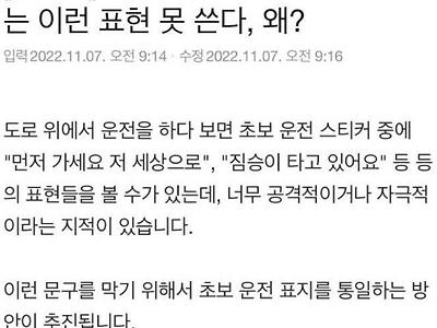 초보운전 표지 규격 통일 법안