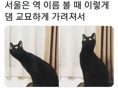 지하철 역이름 볼때 개공감