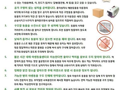 어린 야생동물 발견했을 때 대처법