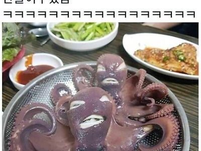 ?? : 마미손 보여줄까??