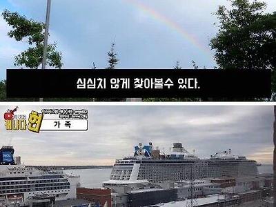 캐나다로 이민갔다가 다시 돌아온 이유