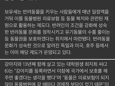 개 키우려면 세금 내라..동물보유세 도입 검토 중
