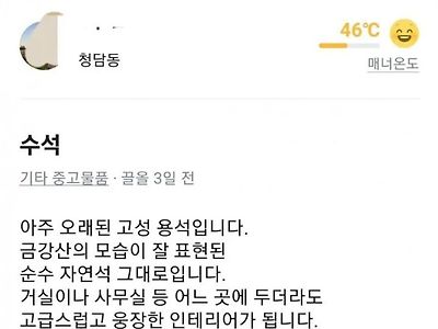 중고거래에 등장한 2억원의 수석