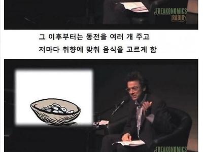 돈의 개념을 배운 원숭이