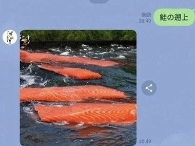 ai에게 "강을 거슬러 올라가는 연어를 그려줘!" 라고 부탁해보았다.