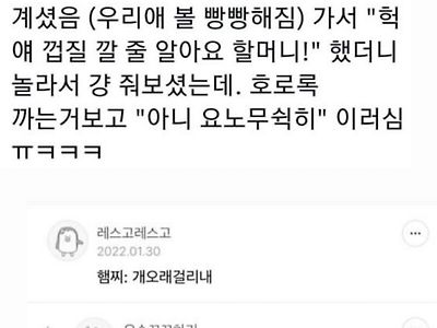 햄스터:"할머니한테 아 뭐라 할수도 없고"