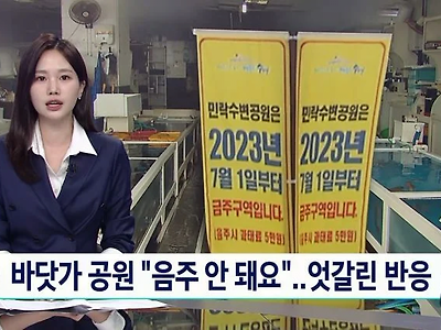 부산 수변 공원 "다 쫄딱 망했어" 분통...상인들 뒤엉켜 몸싸움