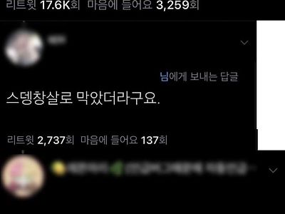 석촌호수로 헤엄쳐서 롯데월드 입장하면 무료인가요?