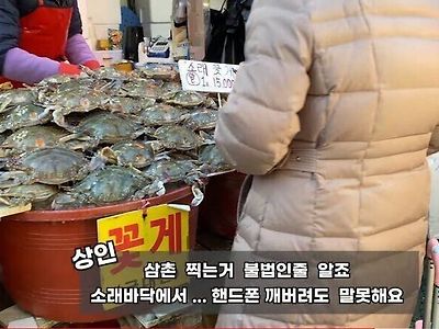 수산시장에서 해서는 안되는 행위