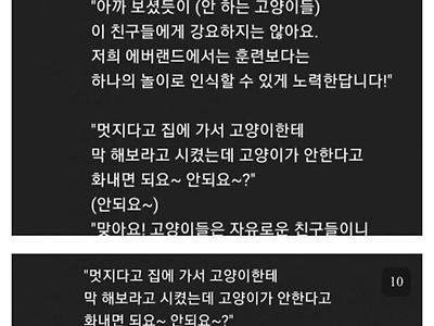 에버랜드 캣쇼 폐지 사건