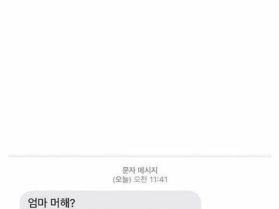 문자 피싱 당하고 있는 디시인 ㄷㄷ....jpg