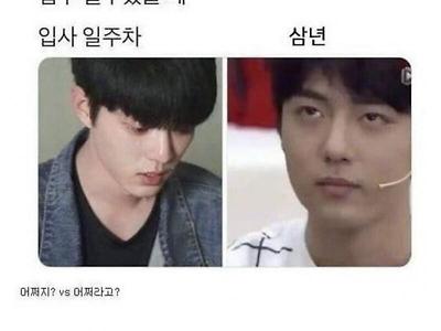 입사 n년차