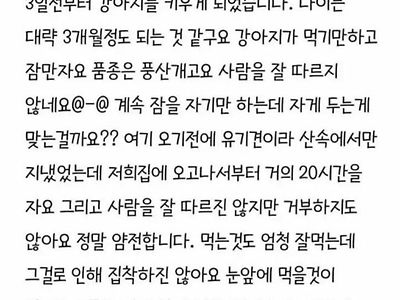 강아지가 너무 자요 ㅠㅠ