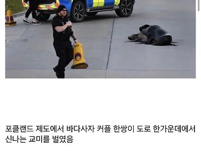 19)길거리에서 대놓고 야스해도 체포되지 않는 법