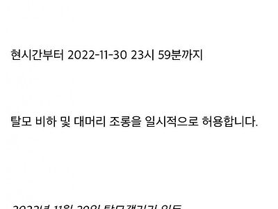 어제자 탈모갤
