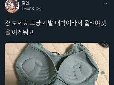 새로산 브래지어에 빡친녀