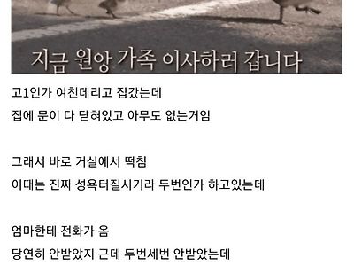 거실에서 ㅅㅅ하다 동생한테 걸림