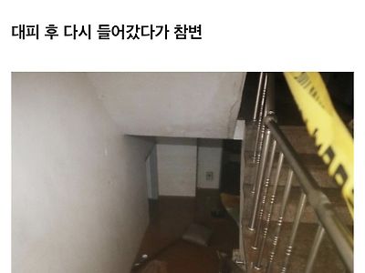 “반려묘 구해야 해”…침수된 집 다시 들어간 여성 사망