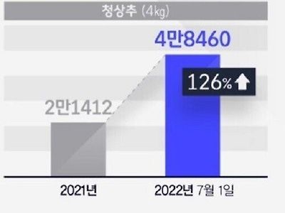 미쳐날뛴다는 요즘 상추값