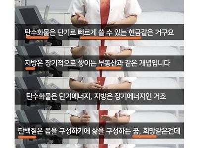 설명 ㅈㄴ 야무진 탄단지 개념