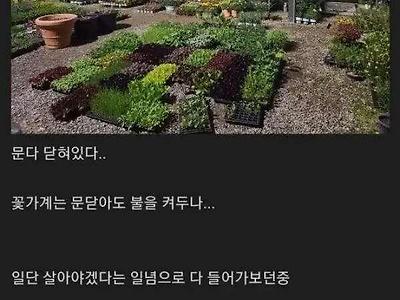 결혼기념일 잊어먹은 유부남의 생존기