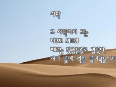 프랑스 시 공모전에서 8000대1 경쟁률을 뚫고 1등한 시