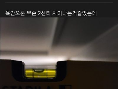 어항 터진거 재밌는거 보여줄까?