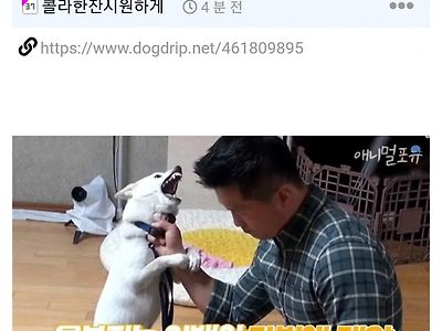 네녀석 고작 인간주제에!