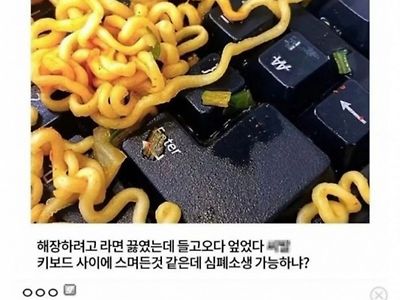 포장지 안 보고 라면 이름 맞춘 디씨인