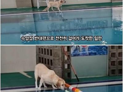 카페인에 너무 의존하면 생기는 일