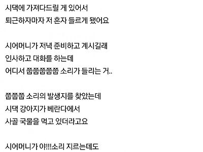 시어머니와 비밀을 공유하게 된 며느리