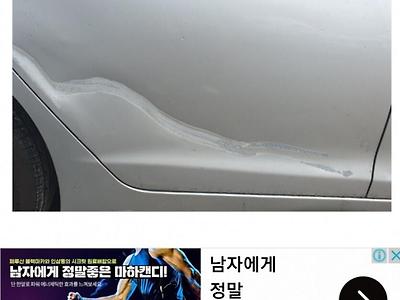 자기 차 차폭 감 잡는법.jpg