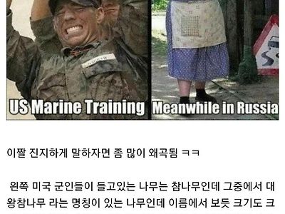 왜곡된 사진